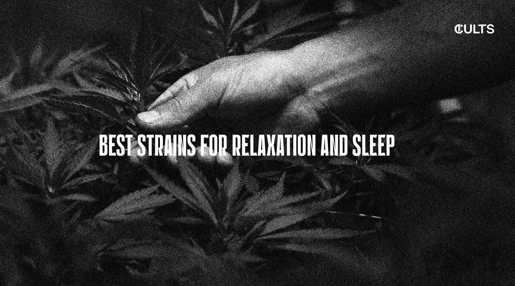 https://www.cultslife.com/blogs/news/best-strains-for-relaxation-and-sleep-cults-life