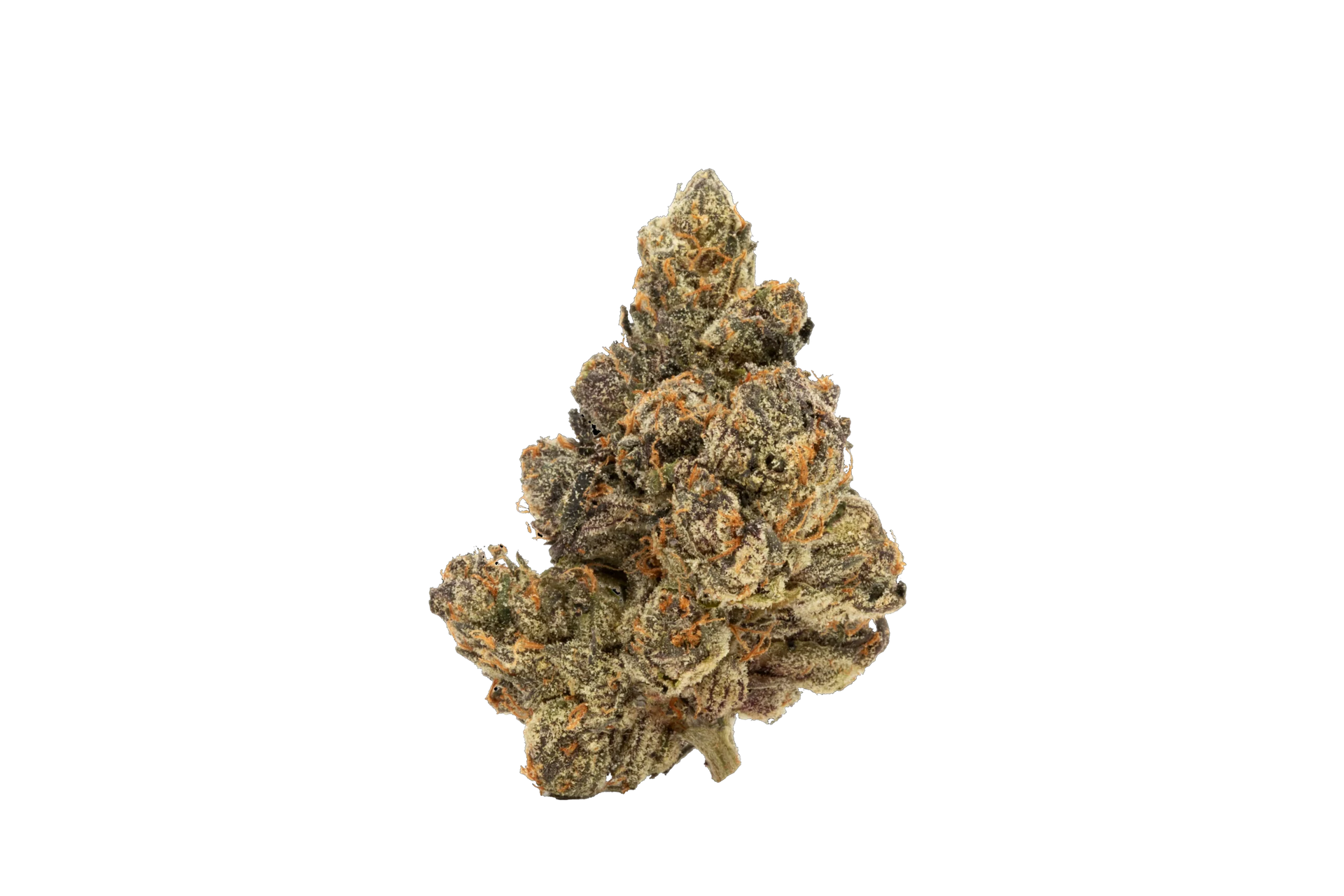 cherry-colada-zlurpie-strain