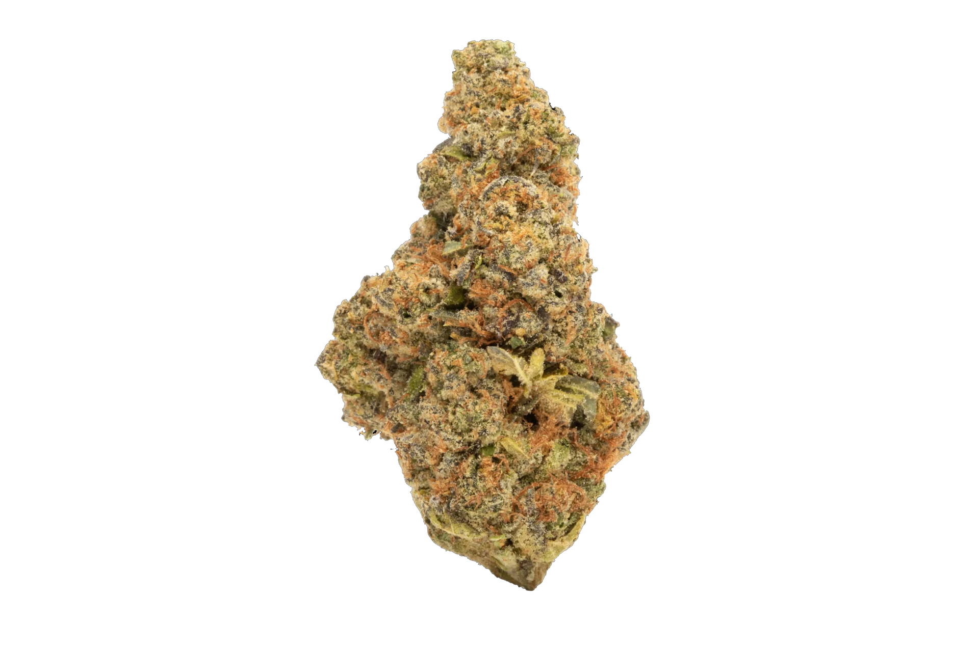 AMERICAN APPLE PIE
