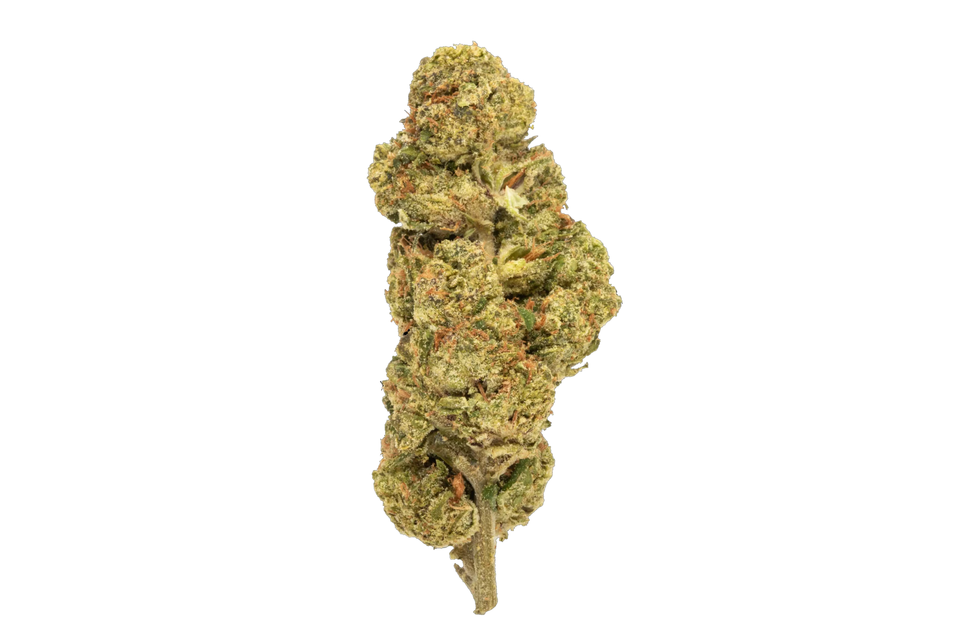 lemon-cotton-candy-pop-strain