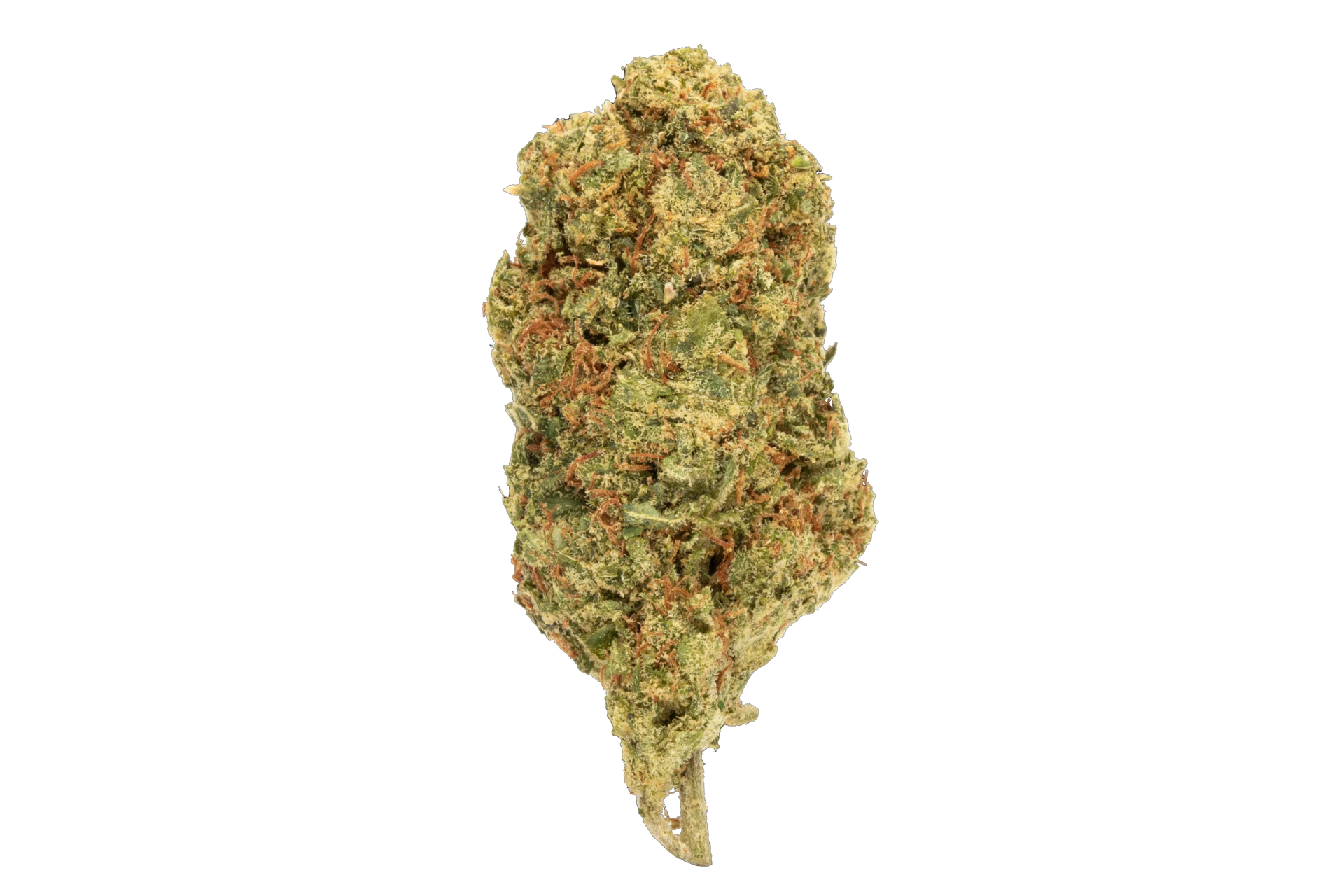 unicorn-blueberry-hybrid-strain