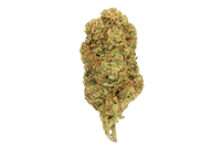 unicorn-blueberry-hybrid-strain