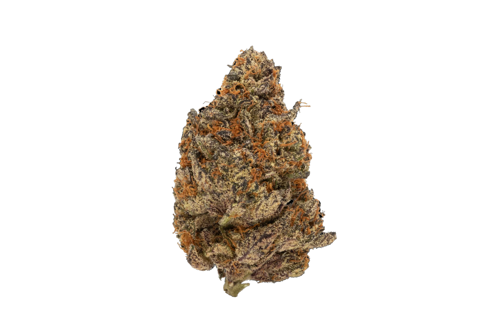 RAINBOW STARBURST